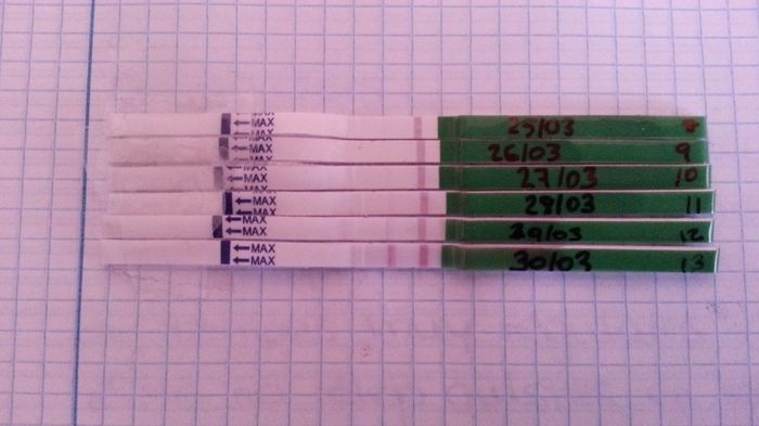evolucion de los TO
