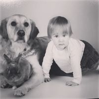 Bebés y mascotas - 1