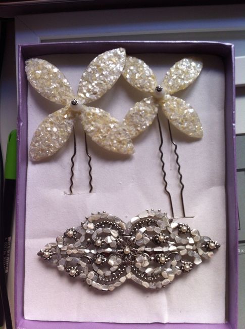 Horquillas y broche