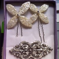 Horquillas y broche