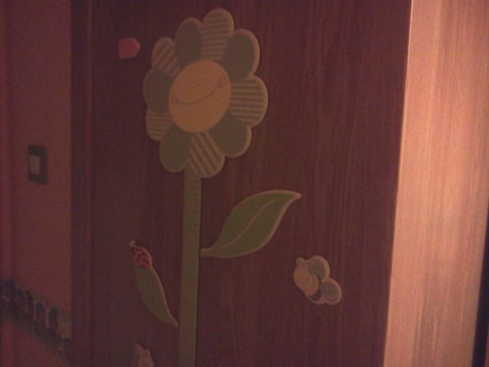 Medidor flor 1