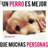 Jose