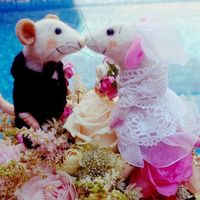  Muñequitos para el pastel - 1