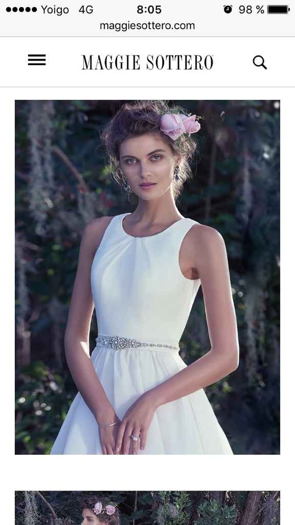 A la búsqueda de vestido! - 4