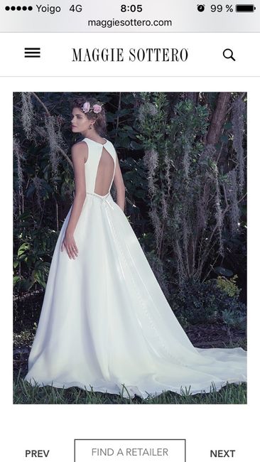 A la búsqueda de vestido! - 3