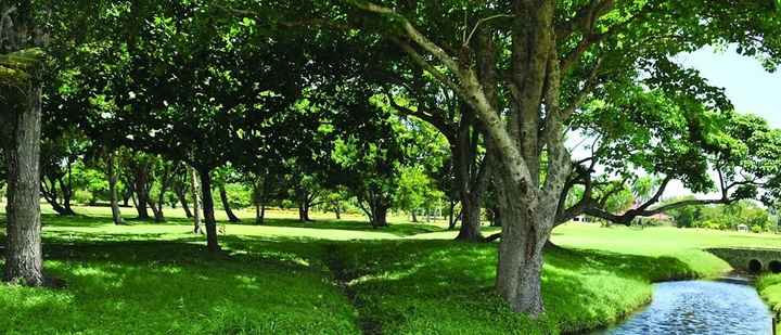 Lugar de Ceremonia, Campo de Golf,pto.pta,RD