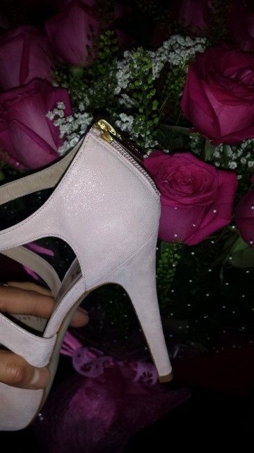 Lodi Goya celeste o pink? - 2