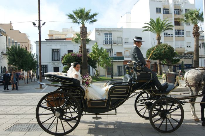 coche de caballos