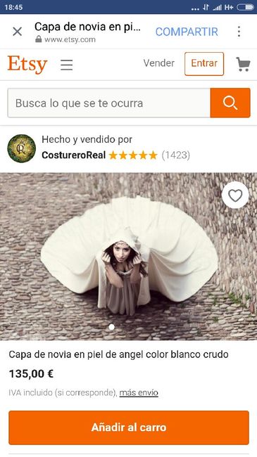 Capas de novia de invierno 2