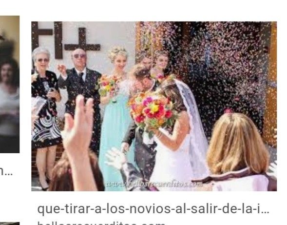 Hojas de olivo como confeti 9