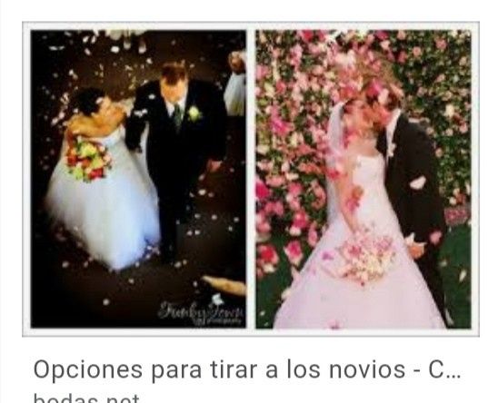 Hojas de olivo como confeti 10