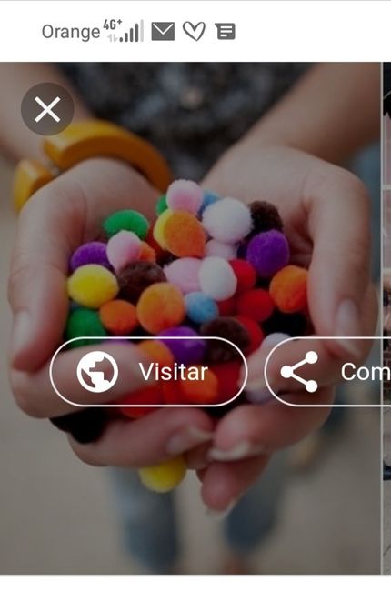Hojas de olivo como confeti 11
