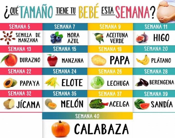 Tamaño del bebé cada semana