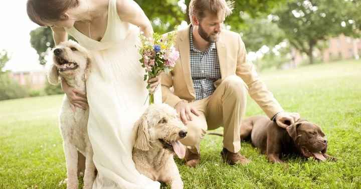 Mascota en la boda