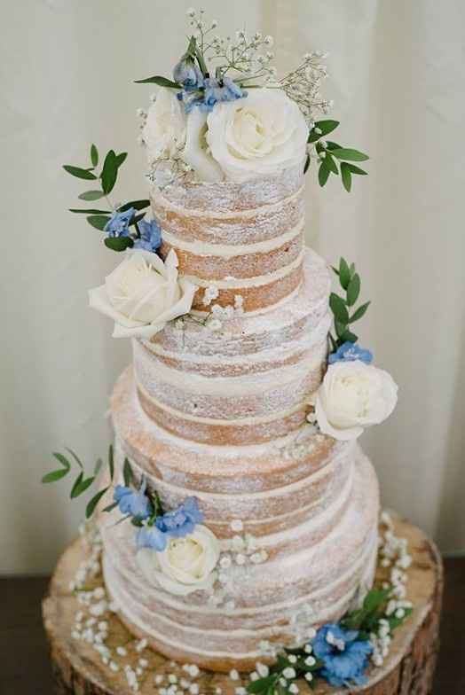 2. Naked cake