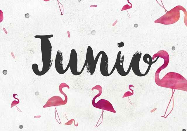 Junio 2018 - 1