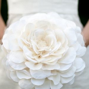 ROSMELIA BLANCA
