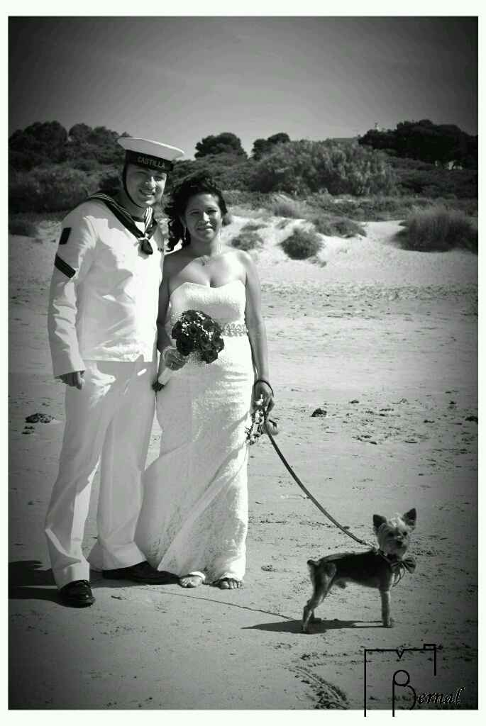 Nuestras mascotas!! - 1