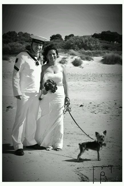 Nuestras mascotas!! - 1