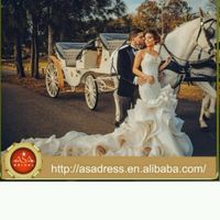 Vestido de novia flamenco - 1