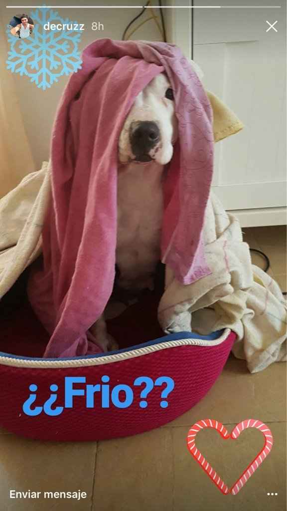 Y que hago con él? - 1
