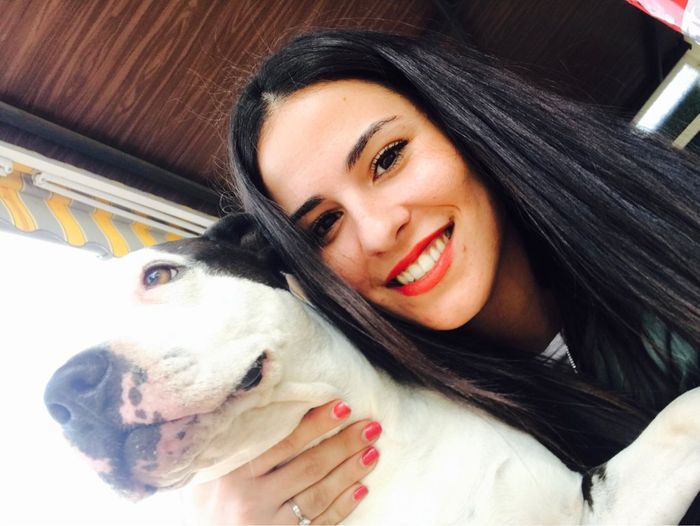 Boda con mascotas - 1