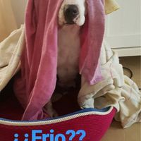 Y que hago con él? - 1