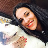 Boda con mascotas - 1