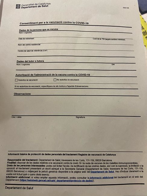 Búsqueda de embarazo y vacuna Covid-19 2
