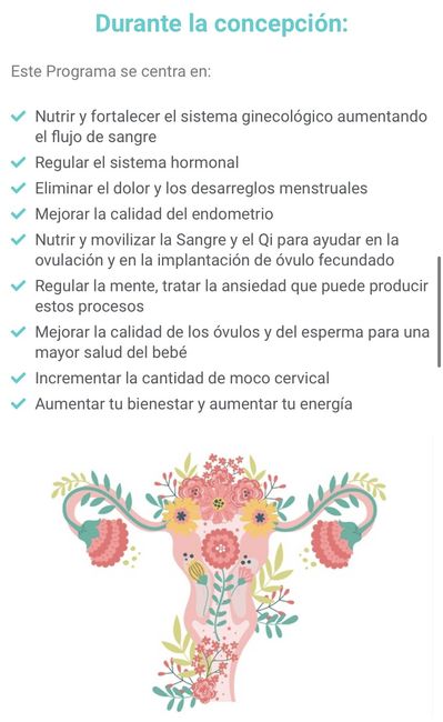 Buscadoras más de 1 año - 2022 - 1
