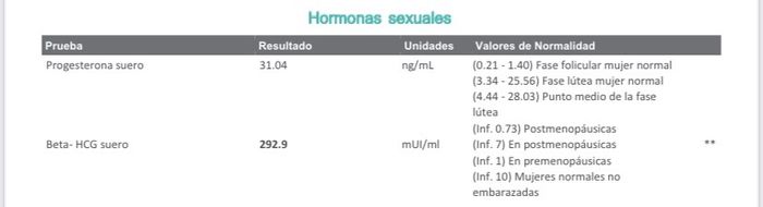 Buscadoras más de 1 año - 2022 2