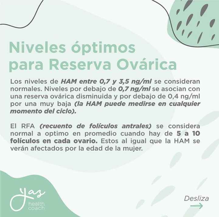 Buscadoras de Noviembre 2020. ☘️🥑💕 - 1