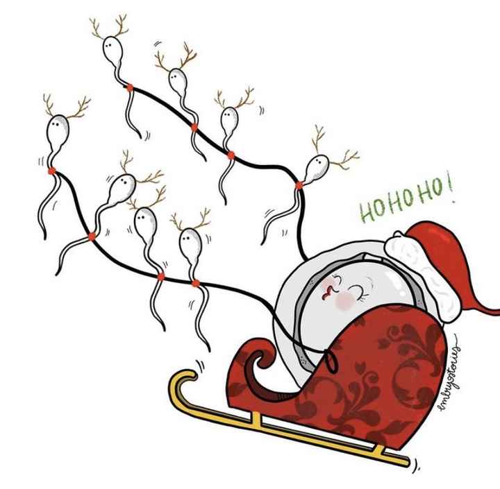 Buscadoras de Diciembre🍀🤶🎅🌲 - 1