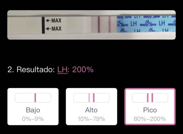 Buscadoras Enero 2021 🌼💞🤰🏼 - 2