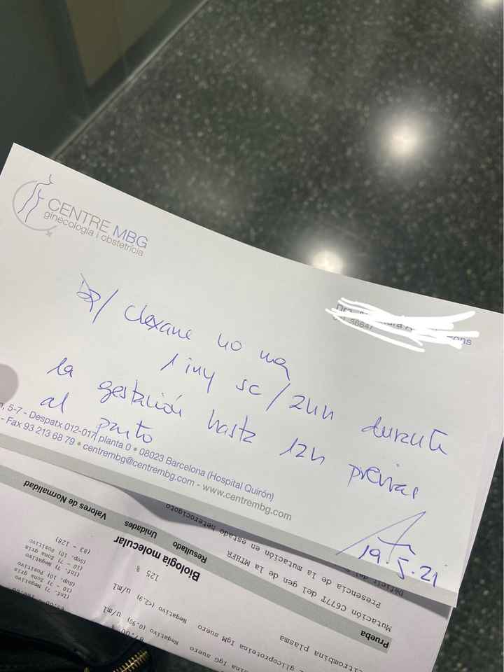 buscadoras de bebé arcoiris - 1
