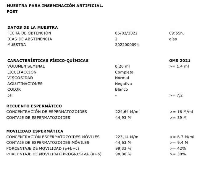Buscadoras más de 1 año - 2022 - 2