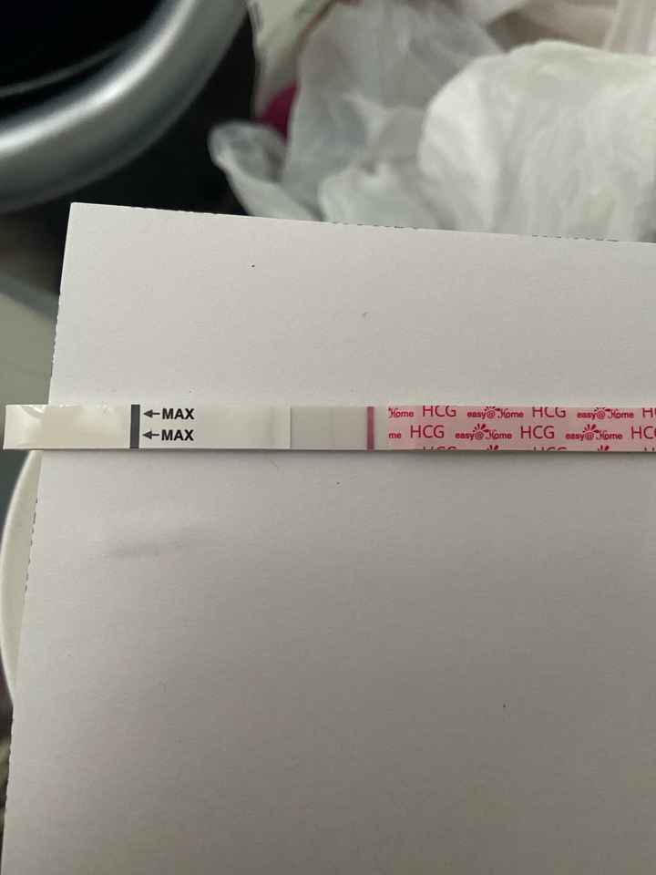ia inseminacion artificial - 1
