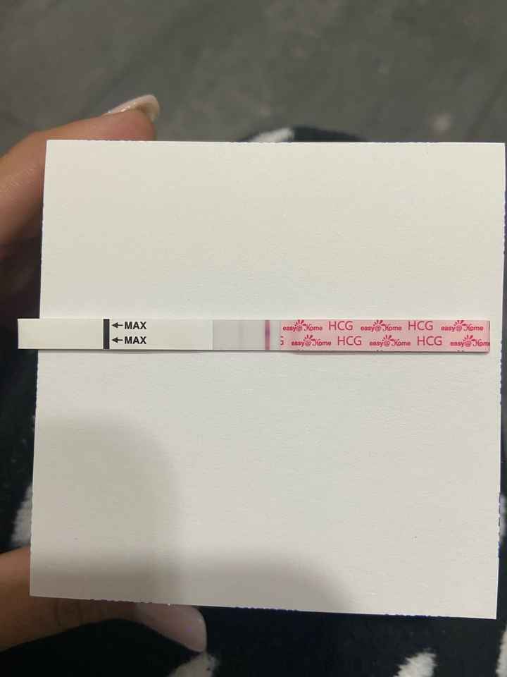 ia inseminacion artificial - 2