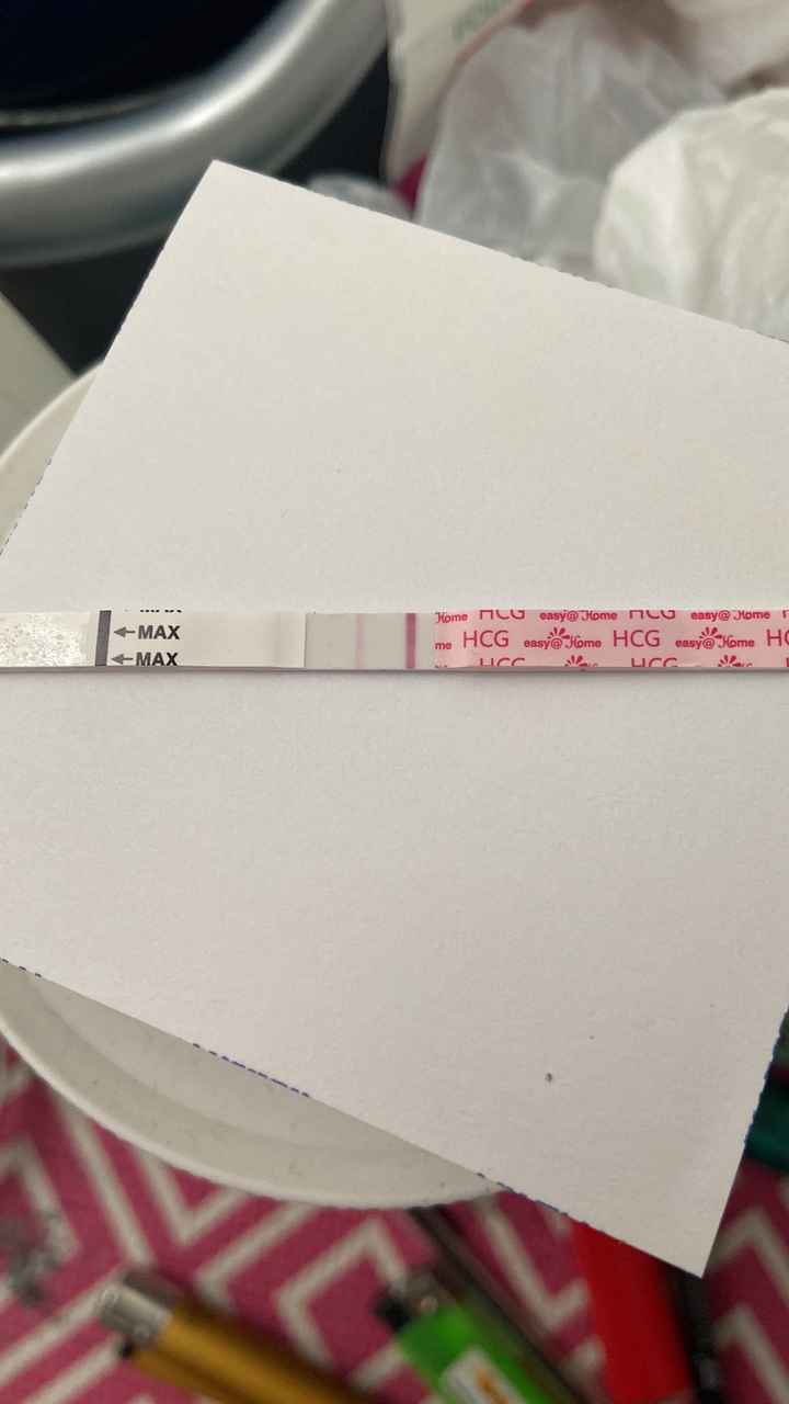 ia inseminacion artificial - 3