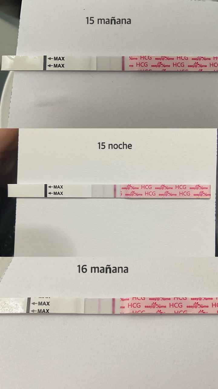 ia inseminacion artificial - 4