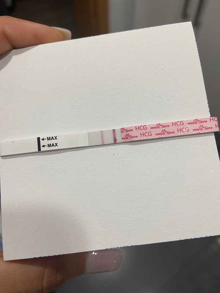 ia inseminacion artificial - 1