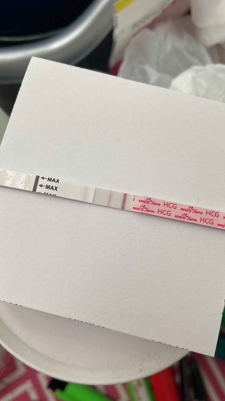 ia inseminacion artificial - 1