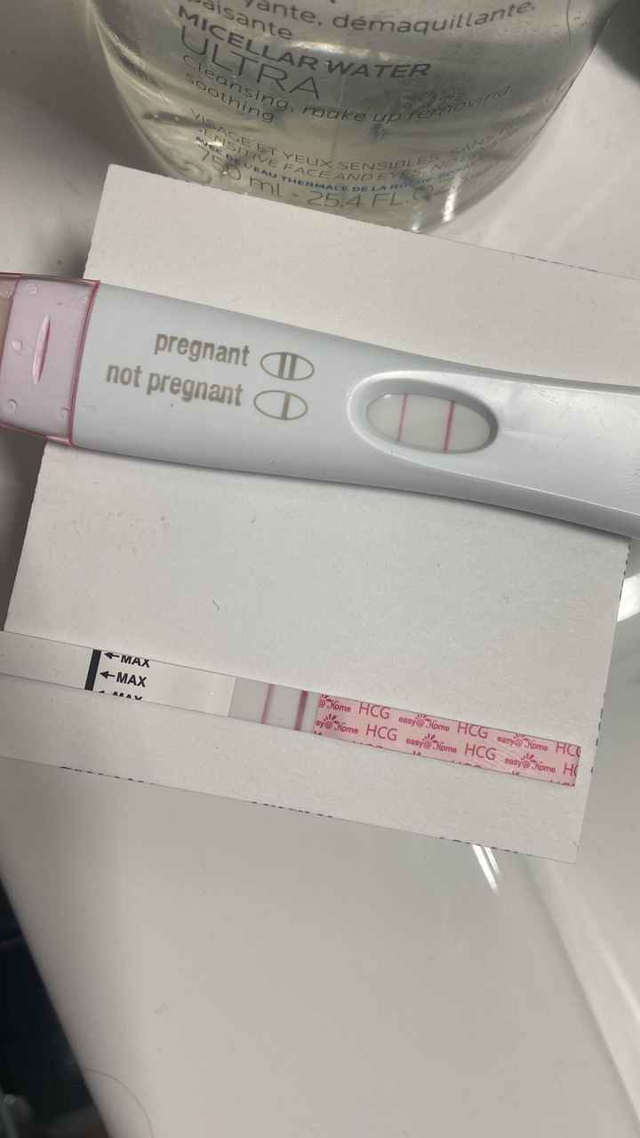 ia inseminacion artificial - 1
