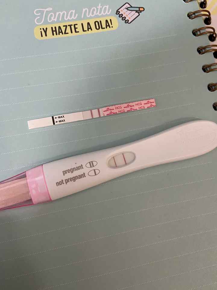 ia inseminacion artificial - 1