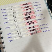 Buscadoras más de 1 año - 2022 - 1