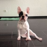 La princesa de la casa