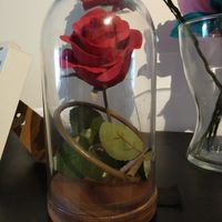 Centros de mesa bella y bestia - 1