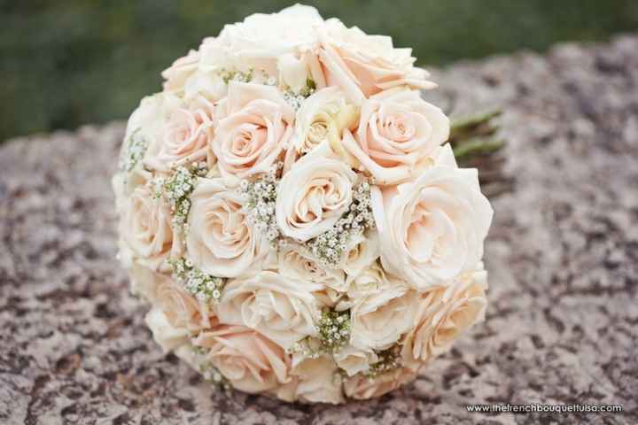 Paniculata y rosas del sahara  - 1