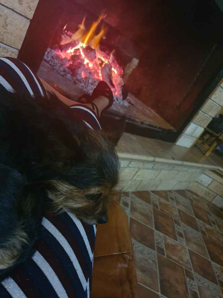 Zapatos invierno ❄️ - 1