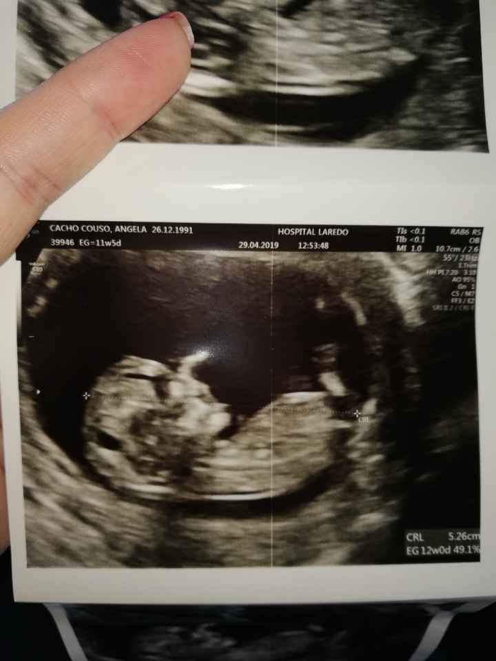 mamis noviembre 2019 oficial - 1